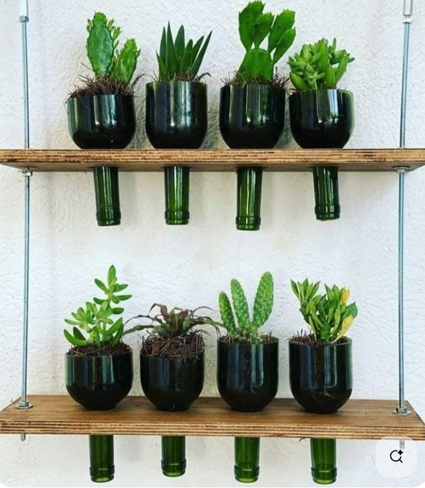 Creative transformation of glass bottles: unexpected surprises